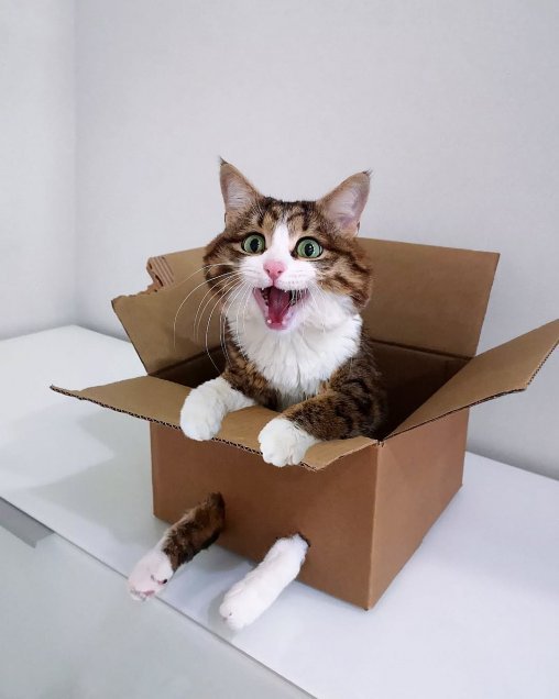 foto_0000000920241209182204